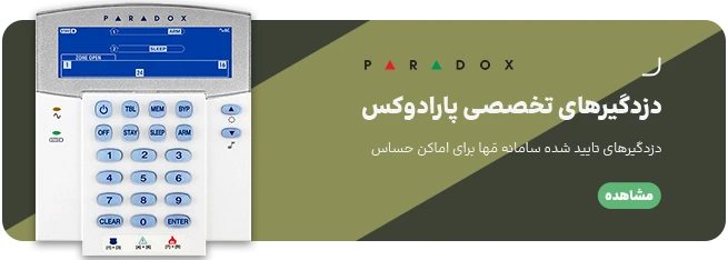 دزدگیر پارادوکس
